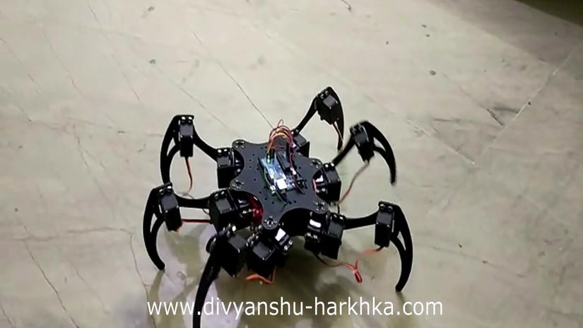 Hexapod Movements